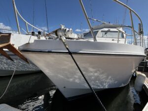 IMG_2326