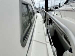IMG_3005